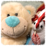 くまお&コッコ